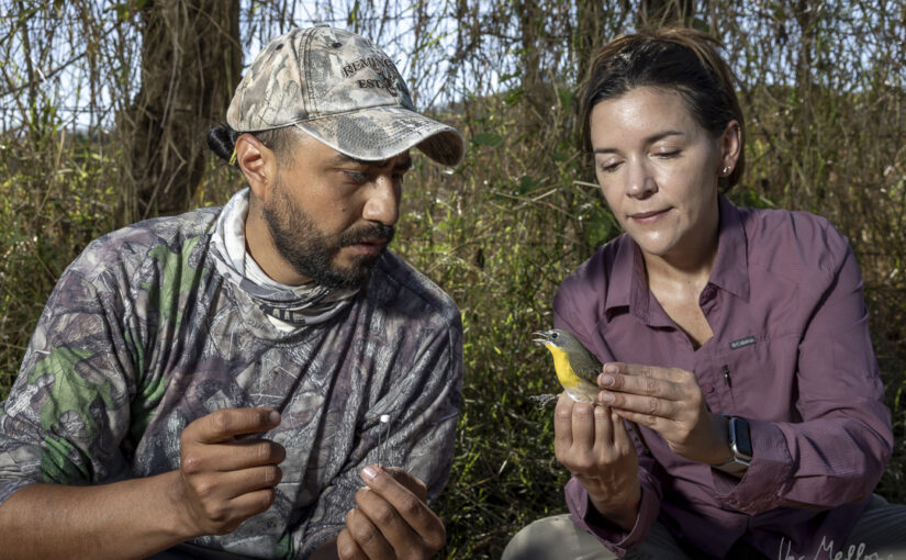 Conservation stories on El País