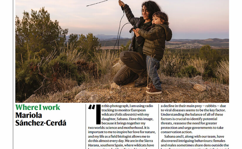 Nature: Where I Work