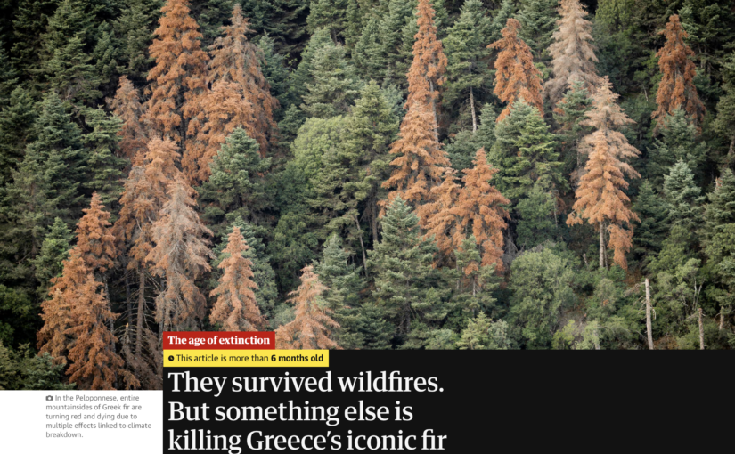 The dying forests of Greece