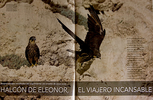 New publications: National Geographic and Quercus