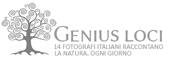 GENIUS LOCI