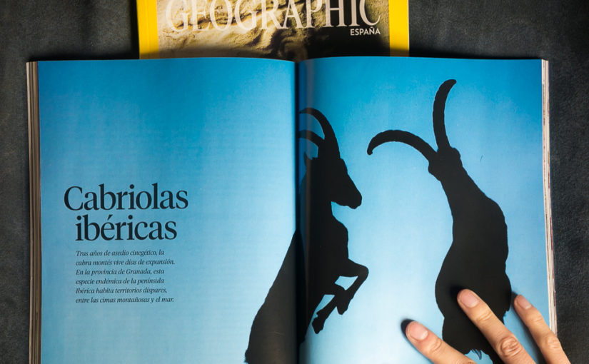 Ibex story in National Geographic