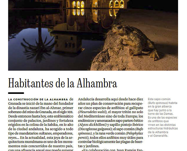 Wild Alhambra in National Geographic Spain
