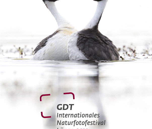 GDT International Nature Photography Festival 2019