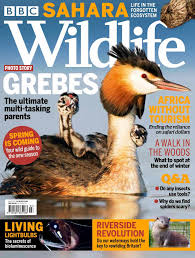 Sahara story on BBC Wildlife Magazine