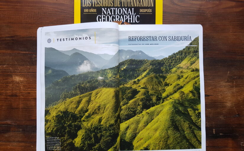 “Reforestar con sabiduría”: Colombia story on National Geographic
